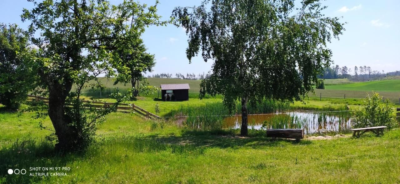 Фермерские дома Dzika Zagroda Dziemiany-24