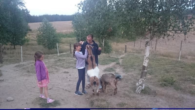 Фермерские дома Dzika Zagroda Dziemiany-28