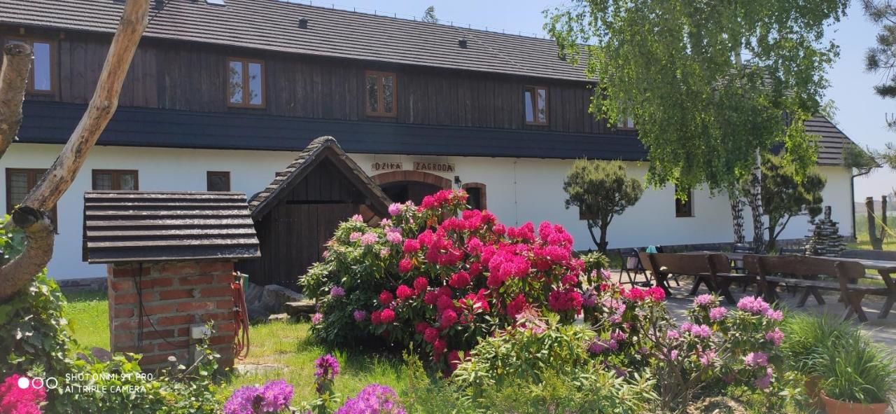 Фермерские дома Dzika Zagroda Dziemiany-6