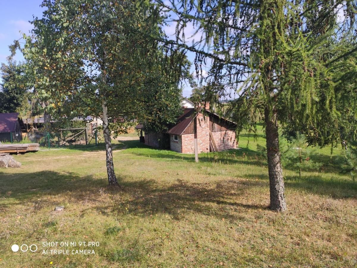 Фермерские дома Dzika Zagroda Dziemiany-39
