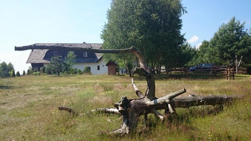 Фермерские дома Dzika Zagroda Dziemiany-11