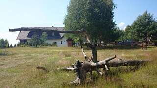 Фермерские дома Dzika Zagroda Dziemiany-7